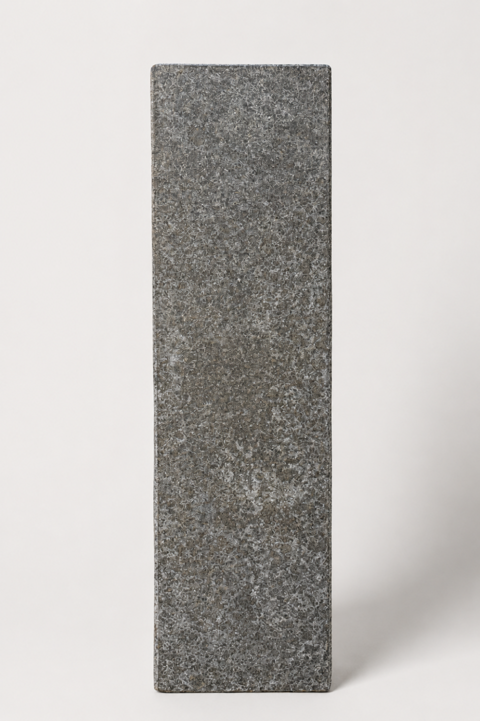 palissades